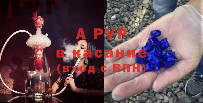 как найти   мориарти Telegram  Альфа ПВП СК  Камышин 