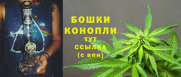 прущие грибы Остров