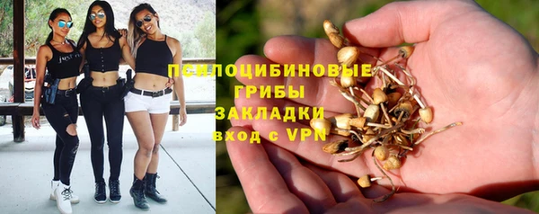 ГАЛЛЮЦИНОГЕННЫЕ ГРИБЫ Навашино