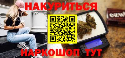 гашик Гатчина