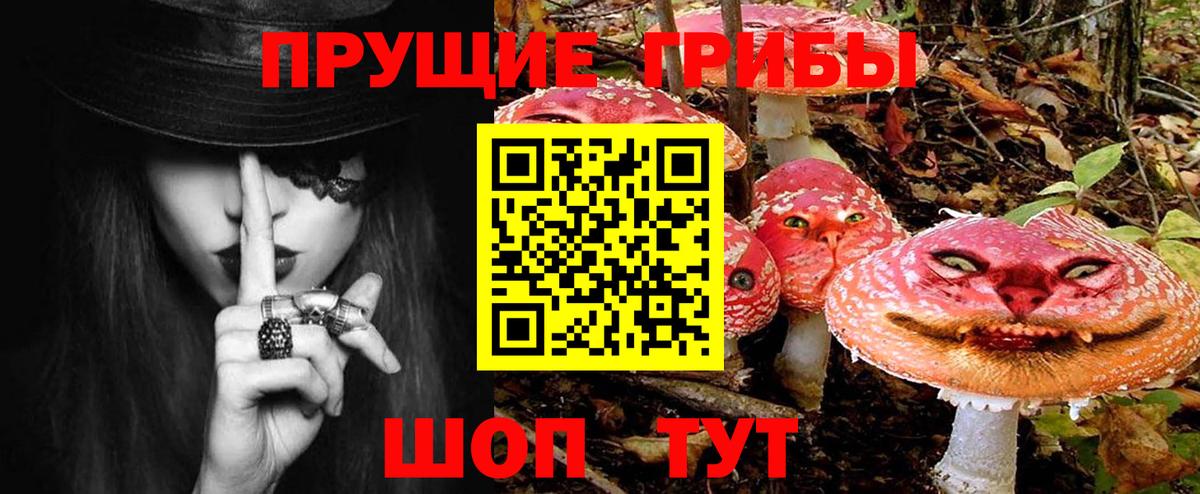 Псилоцибиновые грибы Psilocybine cubensis  закладки  Вход с VPN  Камышин  Галлюциногенные грибы ЛСД 