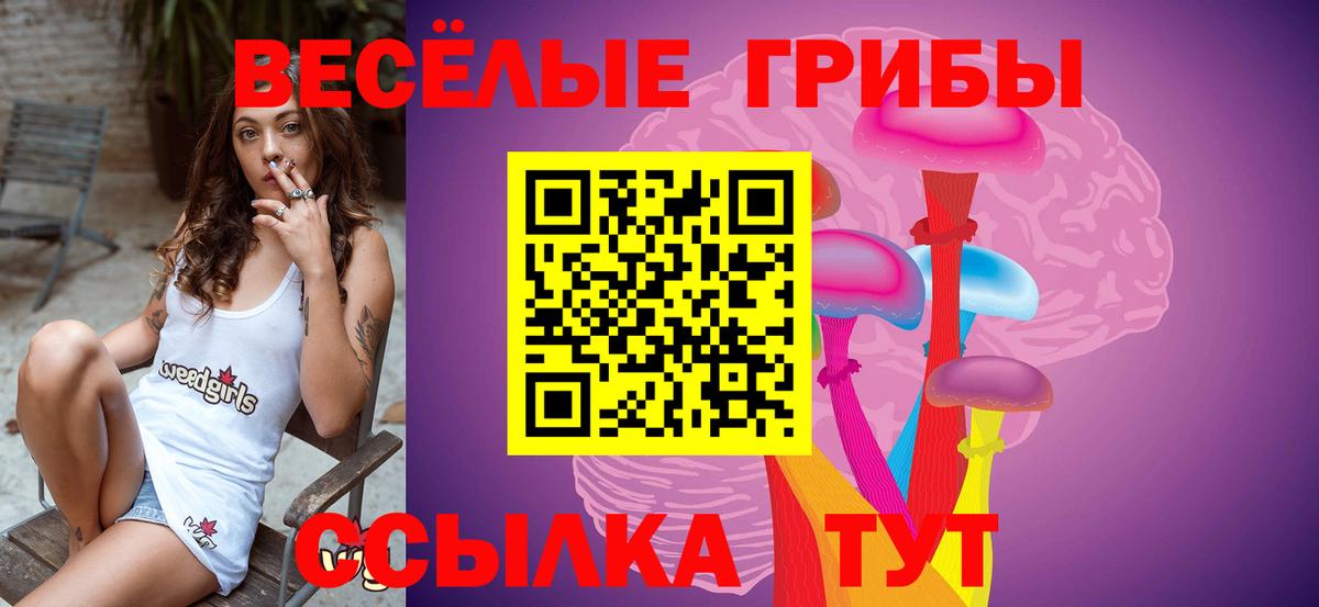 Галлюциногенные грибы Magic Shrooms  Камышин 